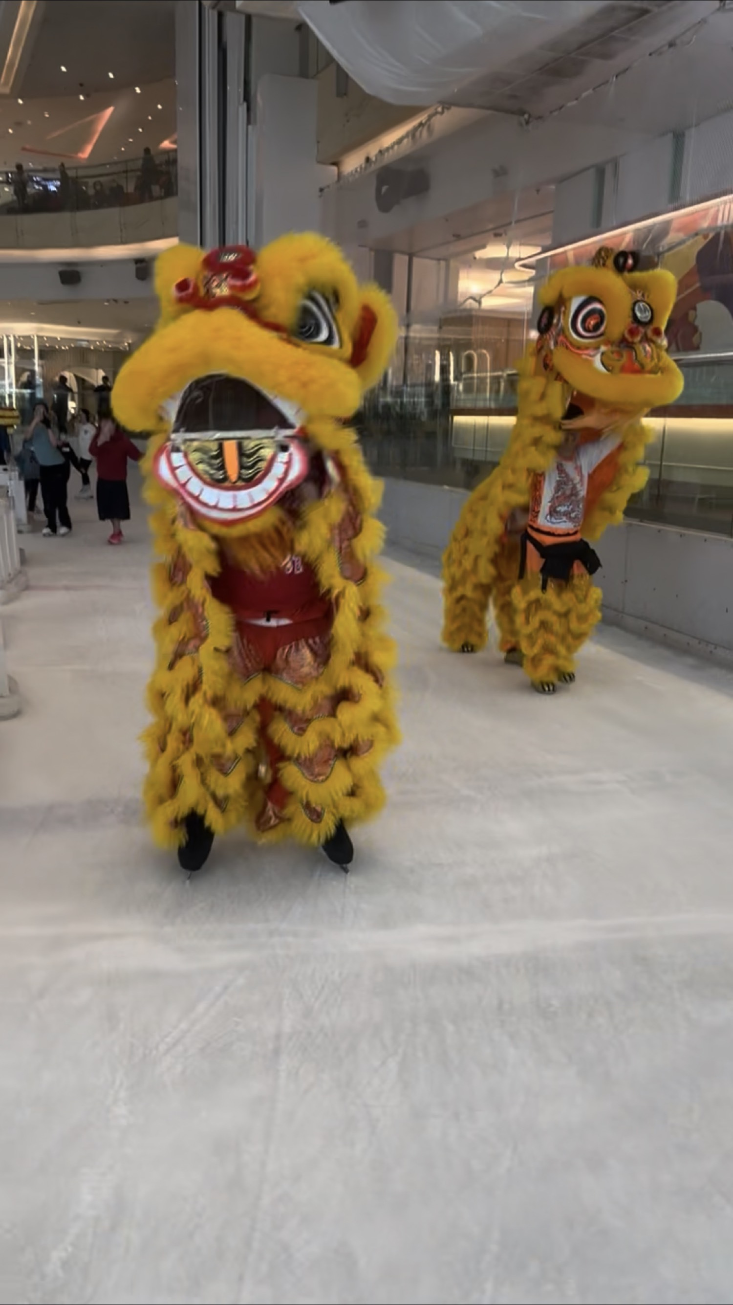 Lion dance on the ice