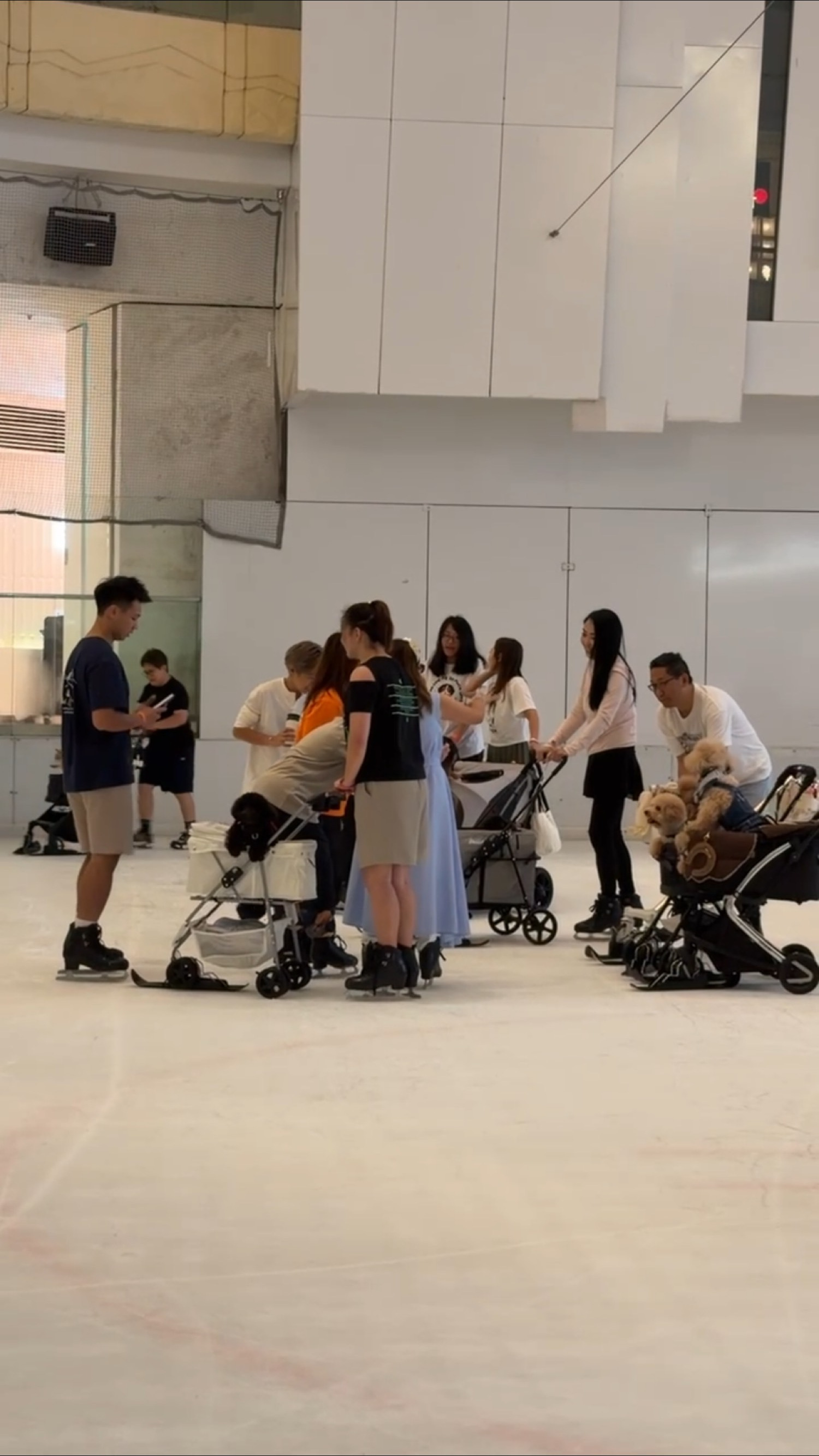 Pets and families skating together